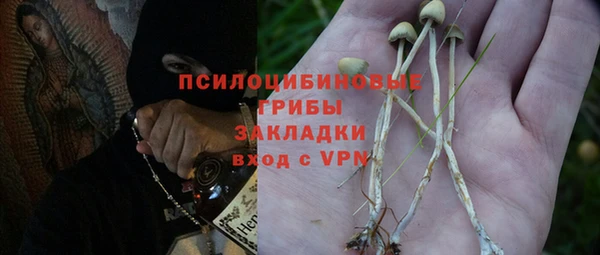 а пвп мука Аркадак