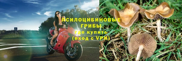 а пвп мука Аркадак